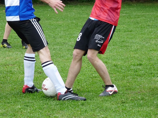 米兰欧冠遭淘汰后，俱乐部顾问伊布被颁发金貘奖.