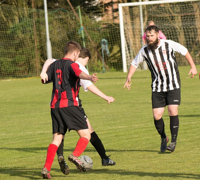 罗本更注重 罗本更注重