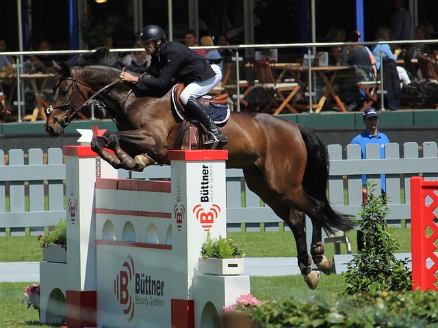 轉會費達1500萬英鎊 埃弗頓接近簽下切·亞當斯！.