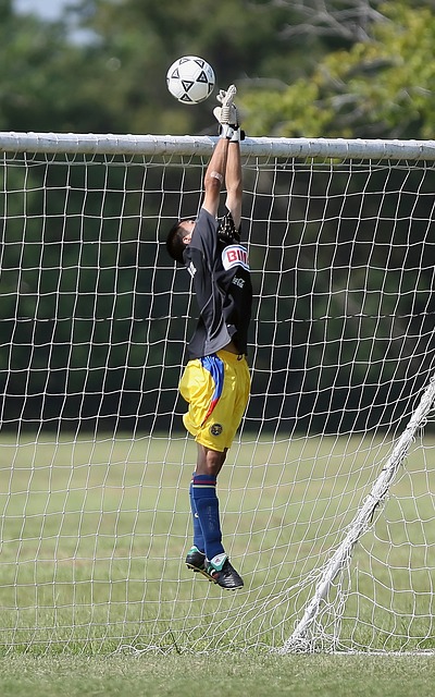 成为了湖人 成为了湖人