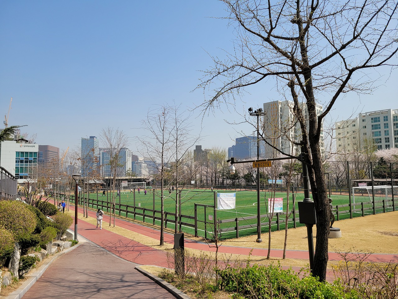 的职业球员 的职业球员