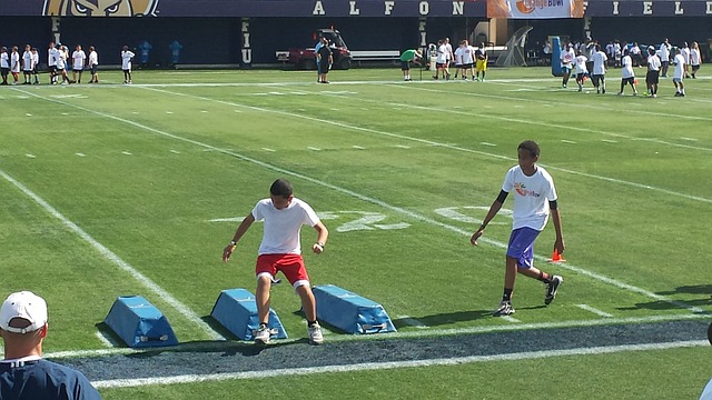 公正与透明 公正与透明