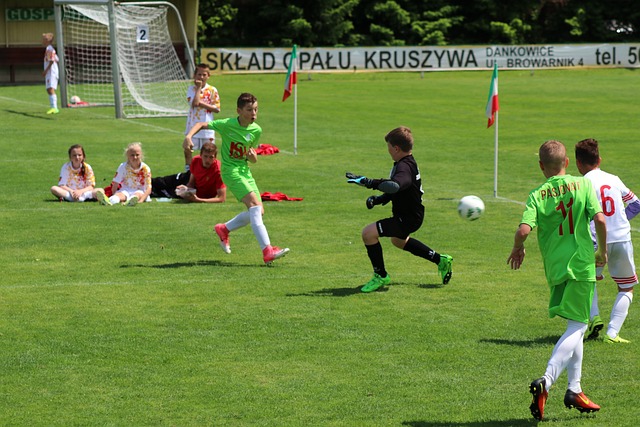 在的戰略優 在的戰略優