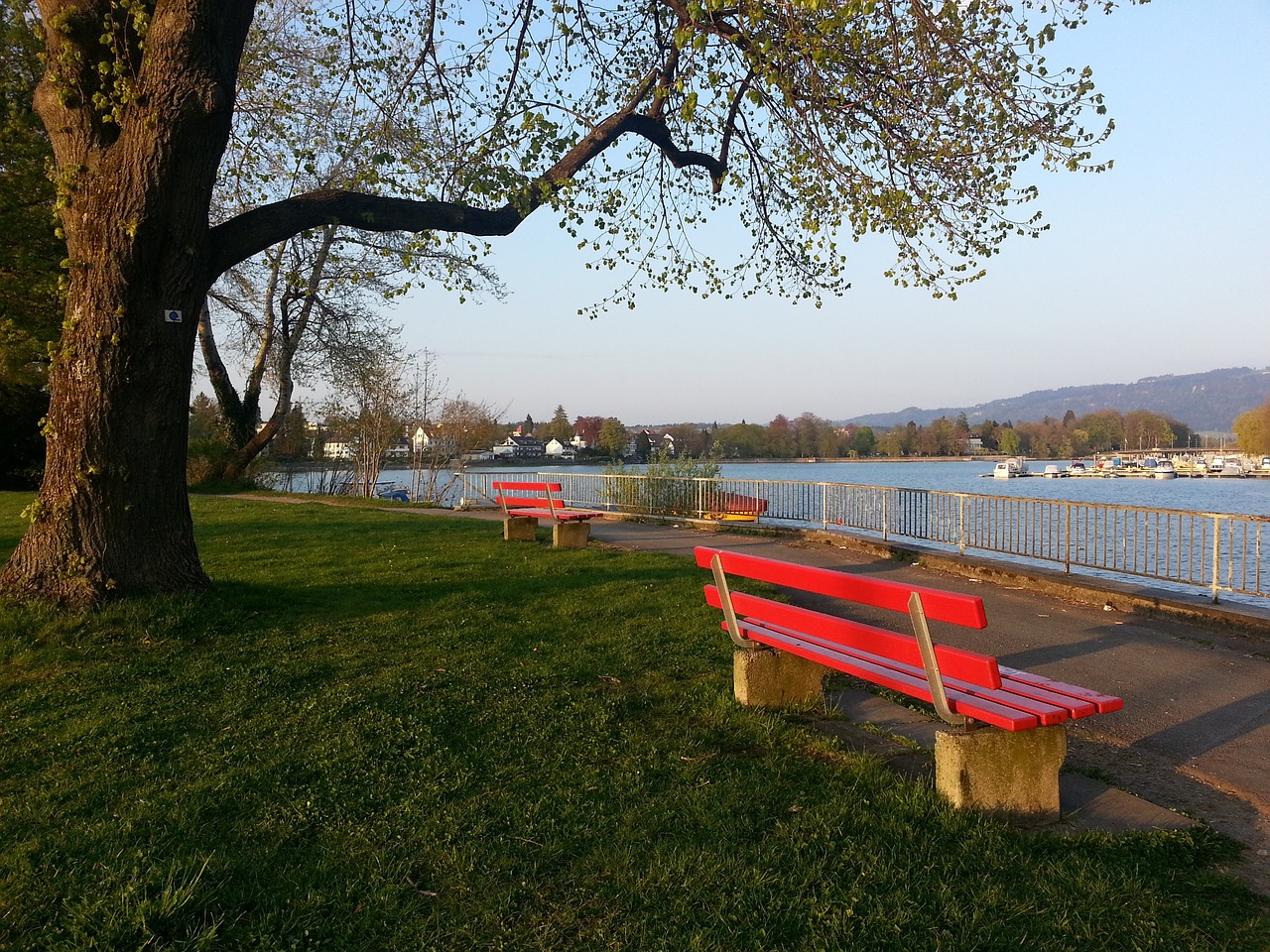 隊更大的潛 隊更大的潛